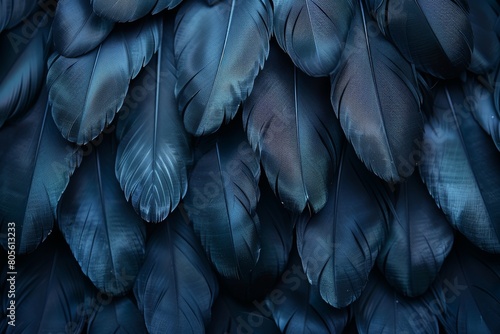 An intricate close-up of a dense layer of blue bird feathers, offering a natural pattern and texture