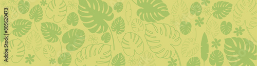 Summer background with tropical plants. Green banner with monstera leaves. Vector illustration