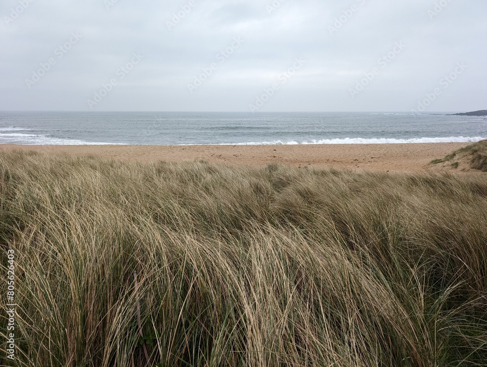 A view of a sandy beach and the sea from a grassy sand dune A view of a sandy beach and the sea from a grassy sand dune