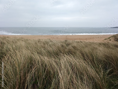 A view of a sandy beach and the sea from a grassy sand dune