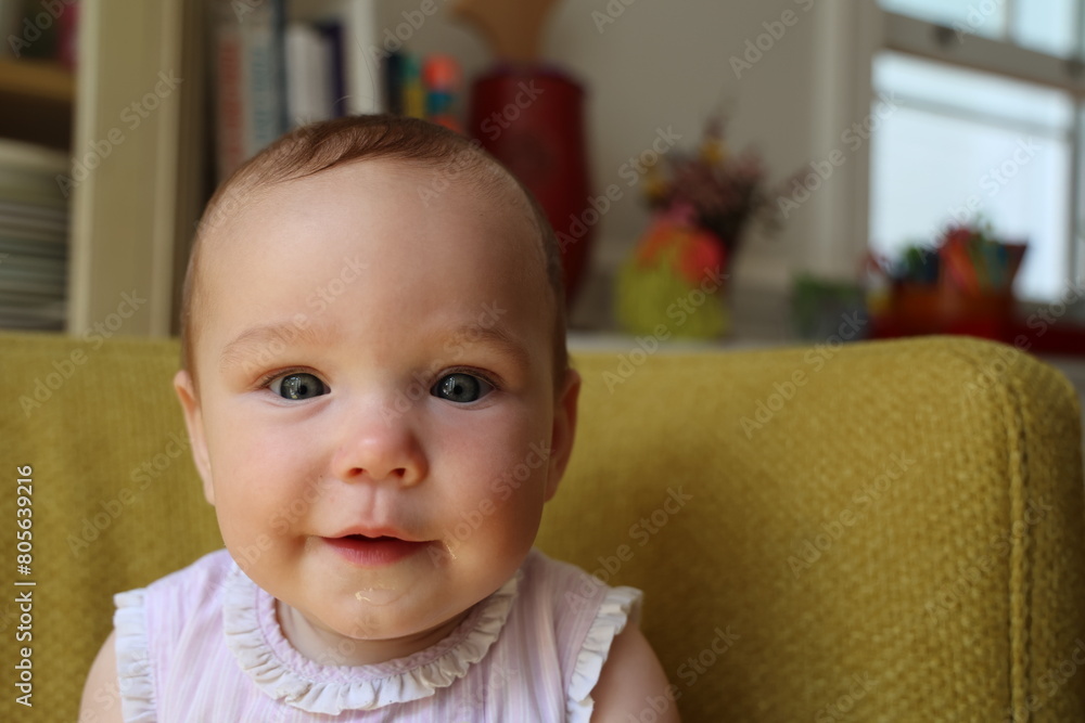 portrait of a baby portrait of a baby