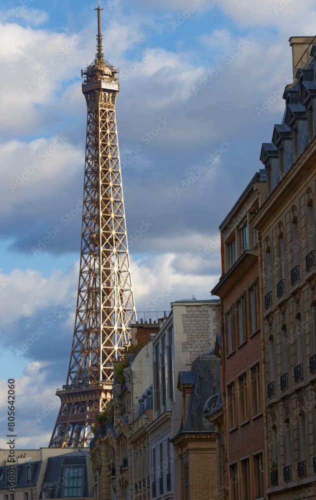 The famous Eiffel tower and parisian houses, Paris, France The famous Eiffel tower and parisian houses, Paris, France