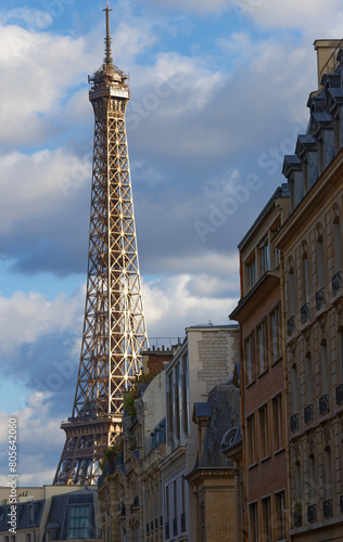 The famous Eiffel tower and parisian houses, Paris, France © kovalenkovpetr
