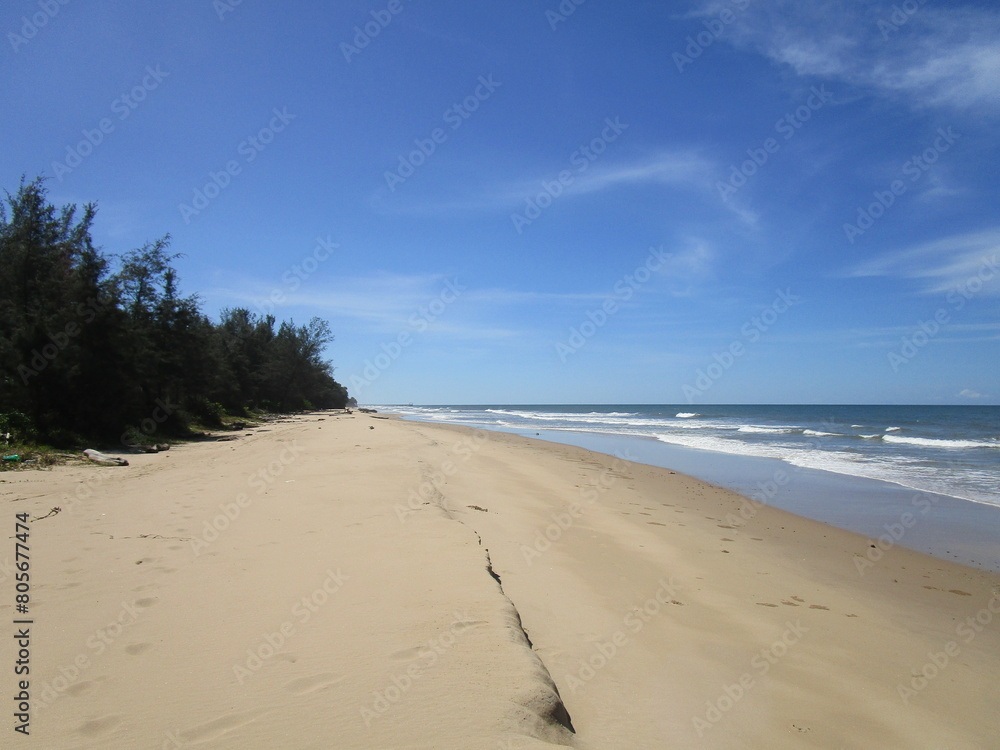 forested shore, sandy beach and gentle waves under clear skies