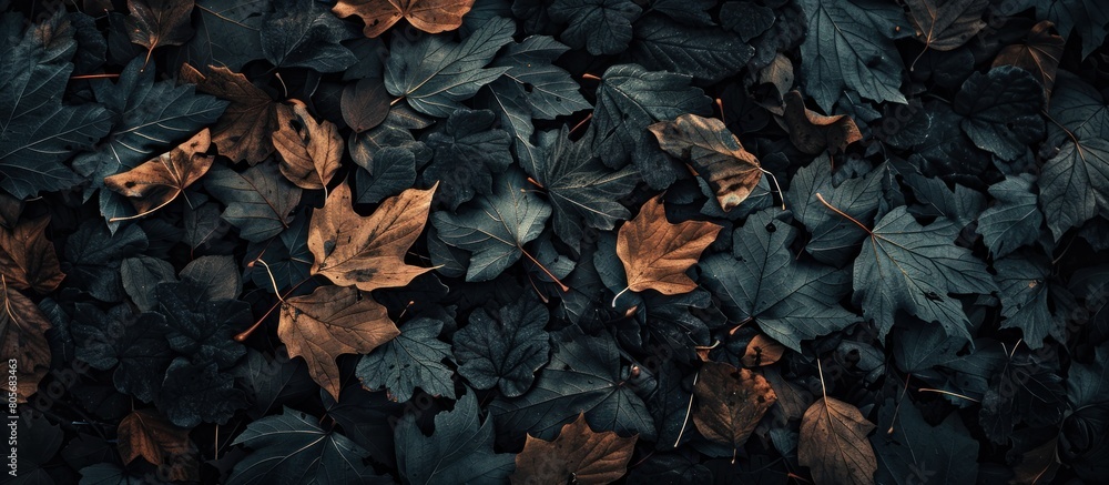 Texture background of black withered leaves falling in autumn Texture background of black withered leaves falling in autumn