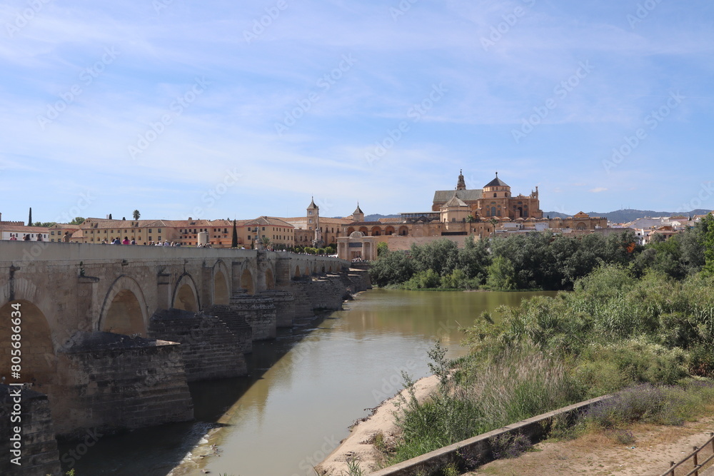  Cordoba. Andalusia. view with mosque and bridge 