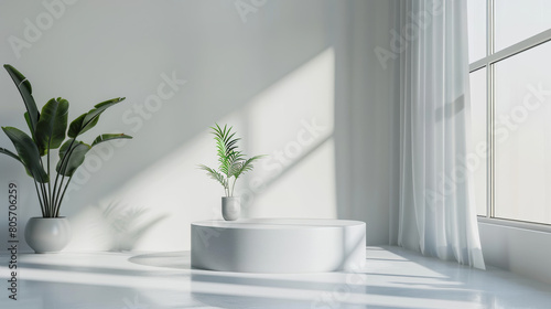 A white room with a white table and a white vase with a plant on it