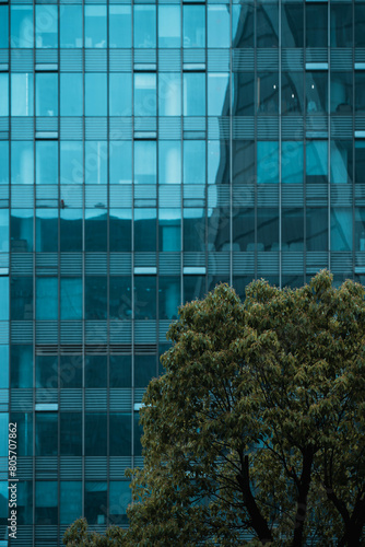 Modern building facade; Close-up of office building