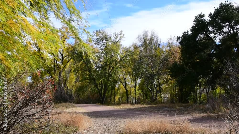 Windy, blustery fall day with wind whipping through trees blowing leaves across the scene from left to right. Windy, blustery fall day with wind whipping through trees blowing leaves across the scene from left to right.