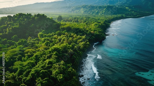 A breathtaking aerial view of a cliff above the ocean with stunning natural landscape, water merging with the sky, and terrestrial plants lining the beach AIG50 © Summit Art Creations
