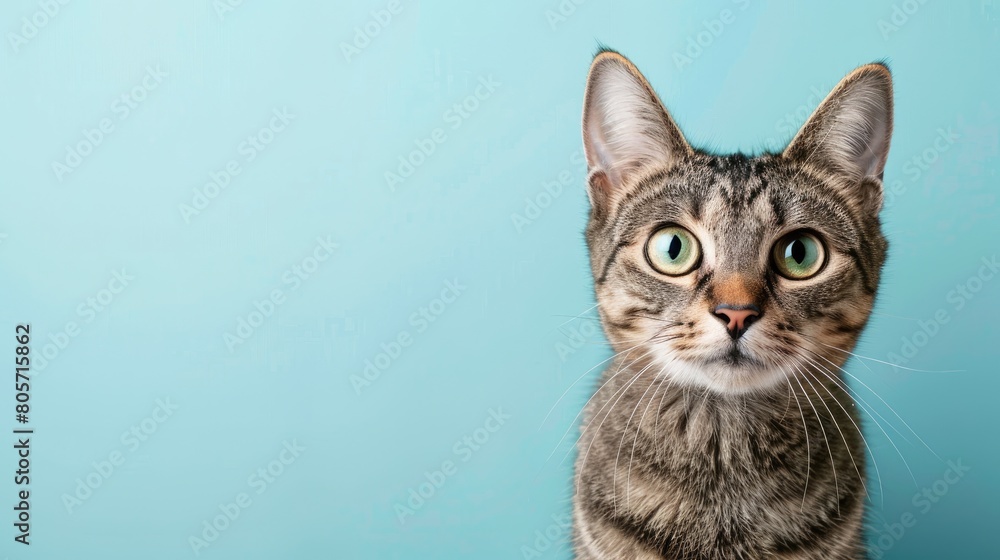 Charming gray tabby cat poses on light blue background with space for text, Ai Generated Charming gray tabby cat poses on light blue background with space for text, Ai Generated