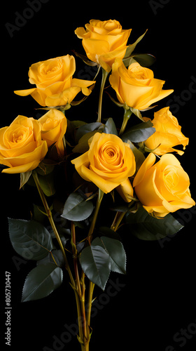 Yellow rose with copy space