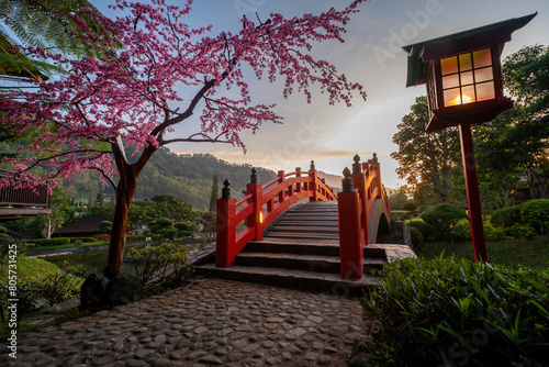 Japanese garden at sunset