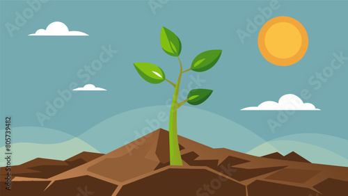 A seedling struggling to grow in rocky soil but still stretching towards the sun and persevering.. Vector illustration
