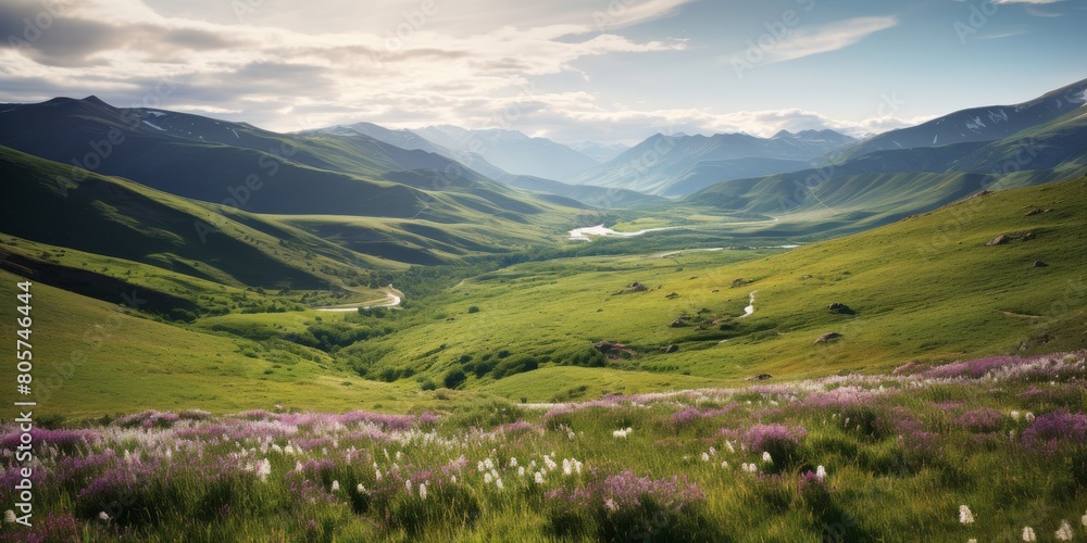 Scenic mountain landscape with lush green meadows and wildflowers