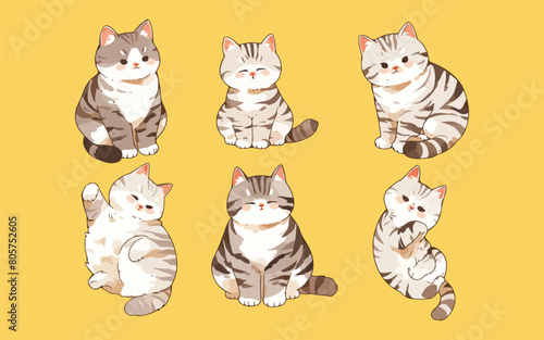 american shorthair cat clipart vector for graphic resources