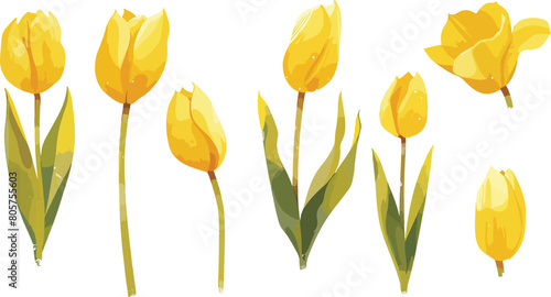 yellow tulip clipart vector for graphic resources
