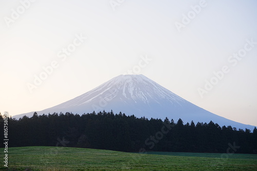 Mt. Fuji in the Morning from Asagiri Kogen or Plateau in Yamanashi, Japan - 日本 山梨県 富士宮市 朝霧高原 朝の富士山  photo