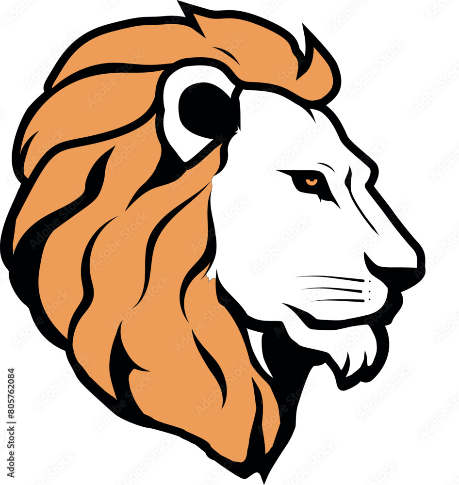 lion illustration lion illustration