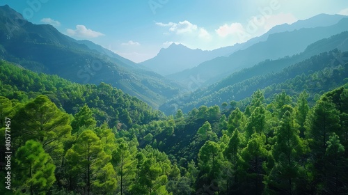 A mountain and an extensive forest of trees against a clear sky.