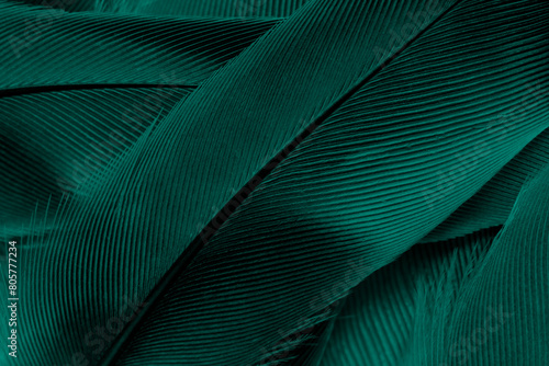 Beautiful dark green viridian vintage color trends feather texture background
