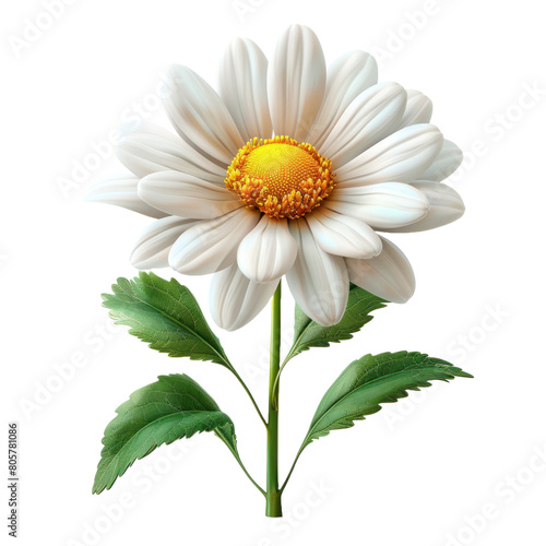 A flower isolated on a transparent background