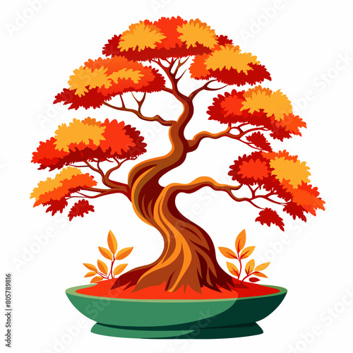 maple tree isolated on white