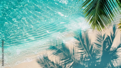 Step into paradise with this stunning top view of water surface adorned with tropical leaf shadow