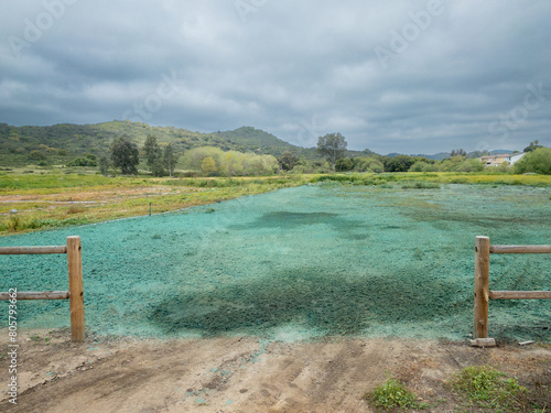 Springtime Hydroseeding in rural landscape, Valley Center, California