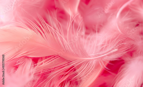 Small fluffy pink feathers
