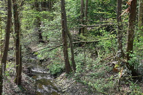 Landscape in Spring at the Stream Steinförthsbach in the Town Walsrode, Lower Saxony