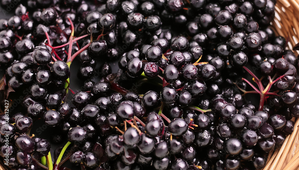 Flat lay of elderberry texture, Top view of fruits concept background Flat lay of elderberry texture, Top view of fruits concept background