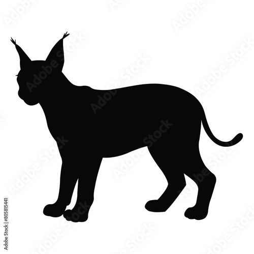 black silhouette of a Caracal 
