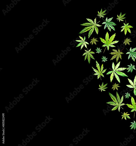 Green cannabis heart on black background, green leaves Hand drawn watercolor illustration, medicine herb plant