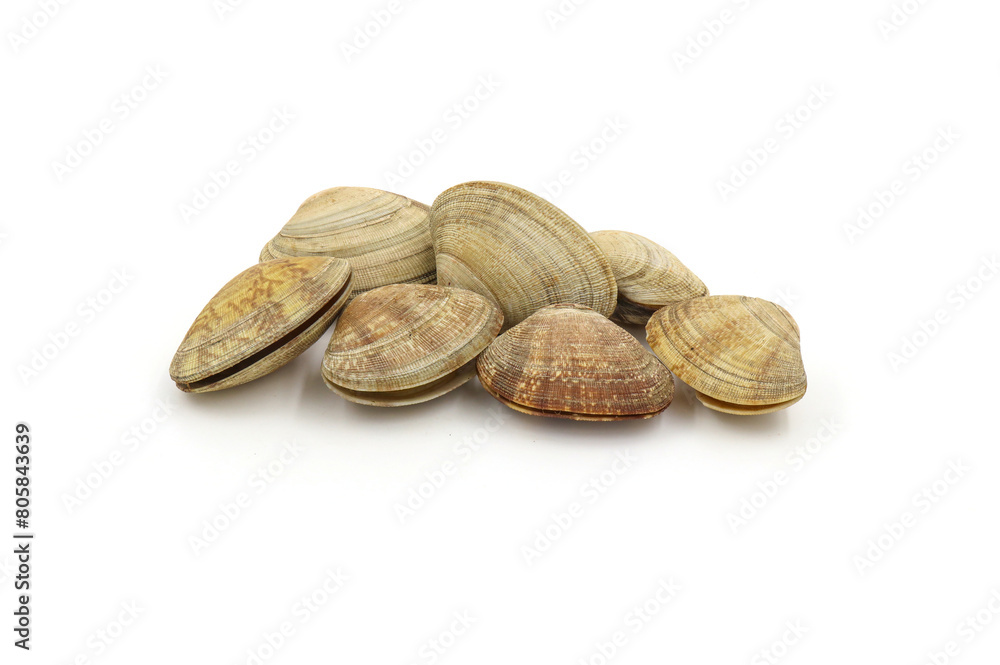 Closed up fresh baby clams, venus shell, shellfish, carpet clams, short necked clams, as raw food from the sea are the seafood ingredients. fresh clams Background. Closed up fresh baby clams, venus shell, shellfish, carpet clams, short necked clams, as raw food from the sea are the seafood ingredients. fresh clams Background.