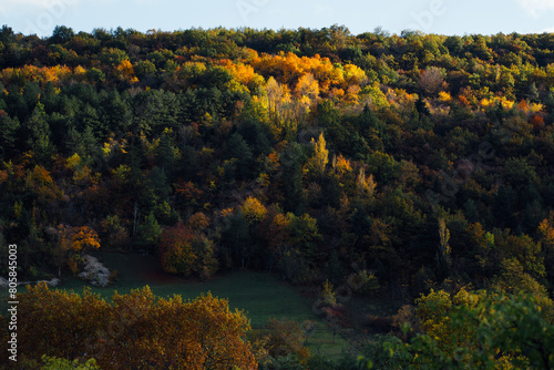 Colline d'une forêt en automne. Paysage automnal dans la campagne en France. Nature pendant l'automne.