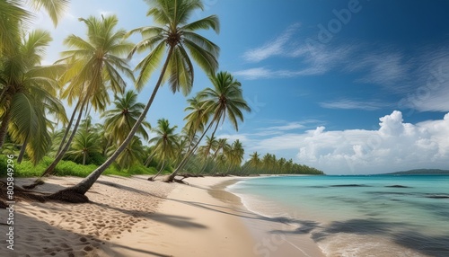 Tranquil and serene tropical beach paradise with palm trees. Sandy shore