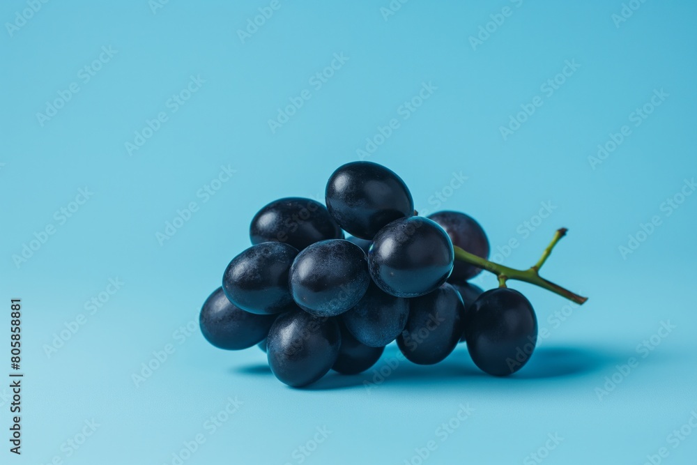 Fototapeta premium Single Bunch of Black Grapes on Blue Background