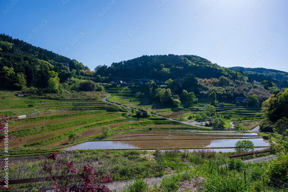 Fototapeta premium 日本の岡山県美咲町の棚田の美しい風景