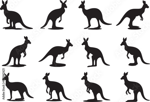 kangaroo Silhouette Vector Illustration