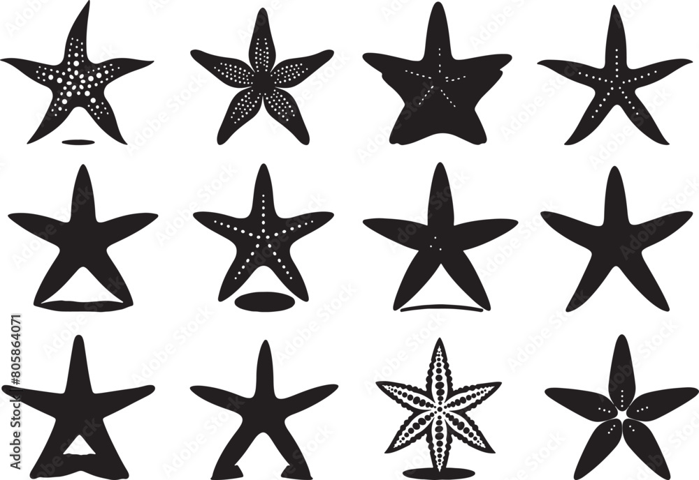 Starfish Silhouette Vector Illustration Starfish Silhouette Vector Illustration