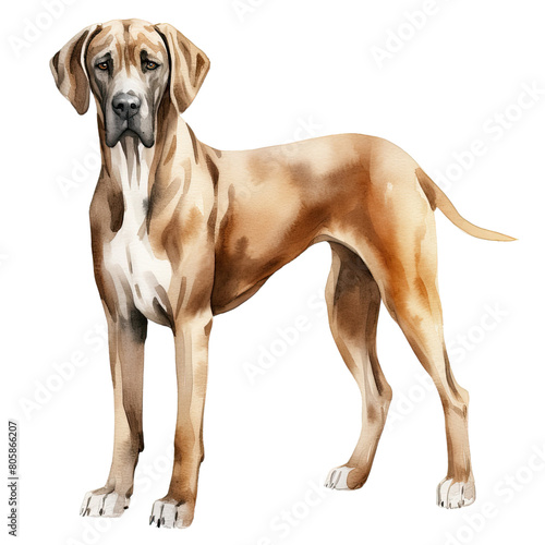 AI-Generated Watercolor cute Great Dane Clip Art Illustration. Isolated elements on a white background.