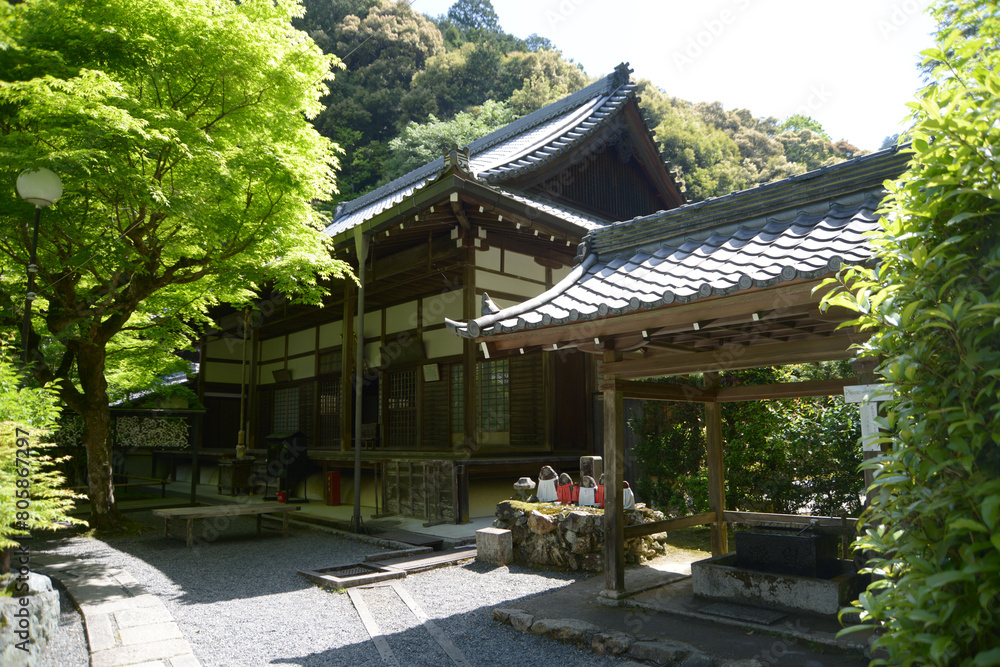 Fototapeta premium 駒ヶ滝最勝院 本堂と手水舎 京都市左京区南禅寺福地町