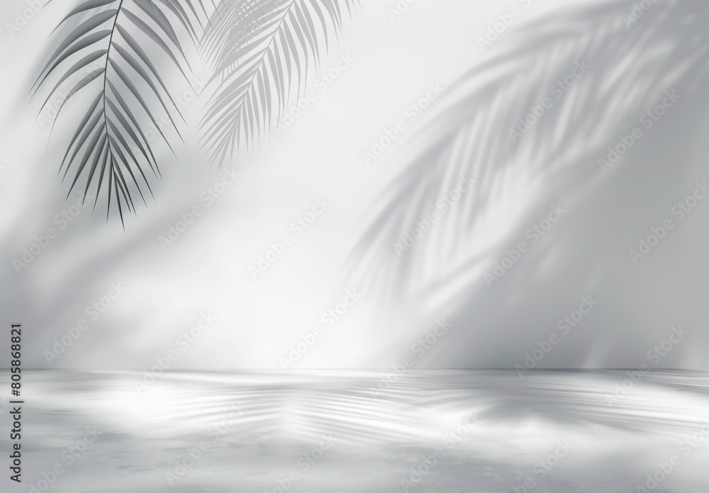 A white background with a palm tree and its shadow. The shadow is the main focus of the image A white background with a palm tree and its shadow. The shadow is the main focus of the image