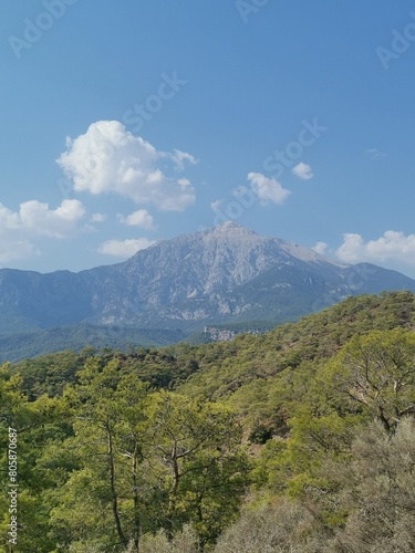 View from the forest to the top of Tahtali mountain in Turkey