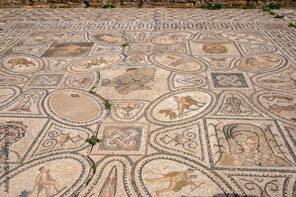 House of the Labours of Hercules, floor mosaic.  Roman Archaeological Site of Volubilis, Meknes.  UNESCO World Heritage Site, Morocco
