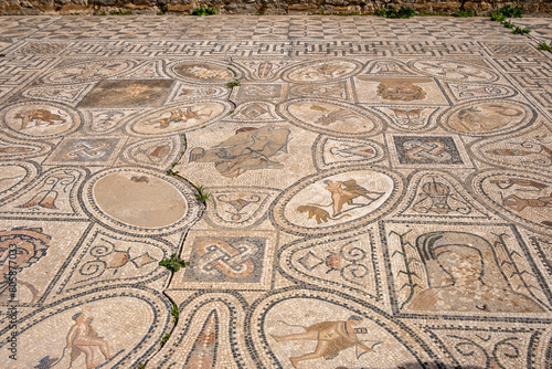 House of the Labours of Hercules, floor mosaic. Roman Archaeological Site of Volubilis, Meknes. UNESCO World Heritage Site, Morocco 