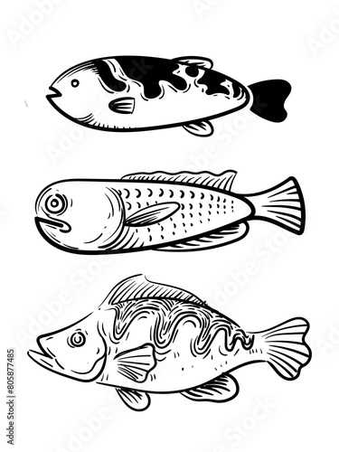 Set of fish hand drawing outline icon character element vector illustration. Beautiful design fish for banner, , poster, books, cards and background.