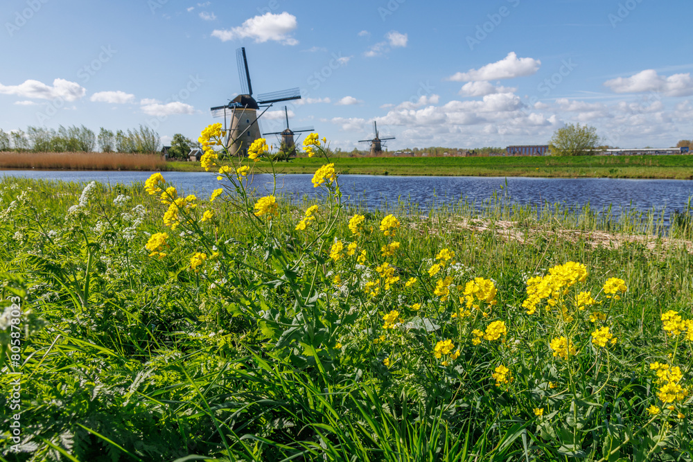 Die Windmühlen von Kinderdijk in den Niederlanden Die Windmühlen von Kinderdijk in den Niederlanden
