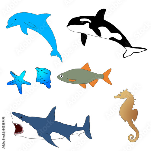 Sea Animals Set   Sea Animals Pack   A Group Of Sea Animals